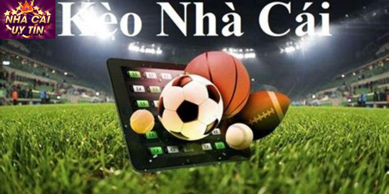 Các yếu tố ảnh hưởng đến nhà cái