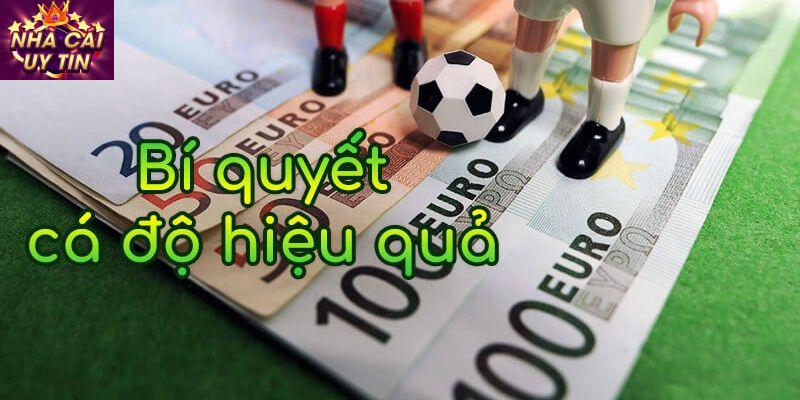 kinh nghiệm chơi cá cược Kinh nghiệm chơi cá cược : Chọn Nhà Cái Uy Tín