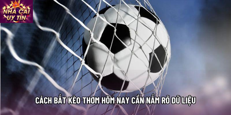 Cách bắt kèo thơm hôm nay cần nắm rõ dữ liệu Cách bắt kèo thơm hôm nay cần nắm rõ dữ liệu