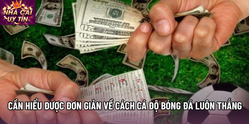 Cần hiểu được đơn giản về cách cá độ bóng đá luôn thắng