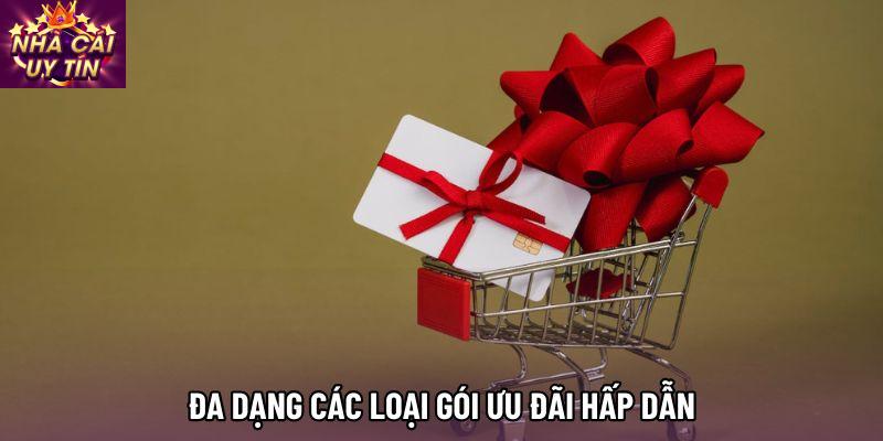 Đa dạng các loại gói ưu đãi hấp dẫn Đa dạng các loại gói ưu đãi hấp dẫn