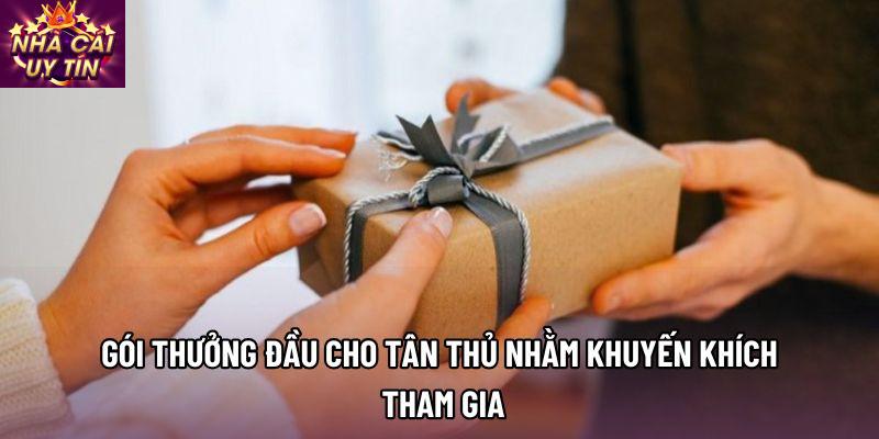 Gói thưởng đầu cho tân thủ nhằm khuyến khích tham gia
