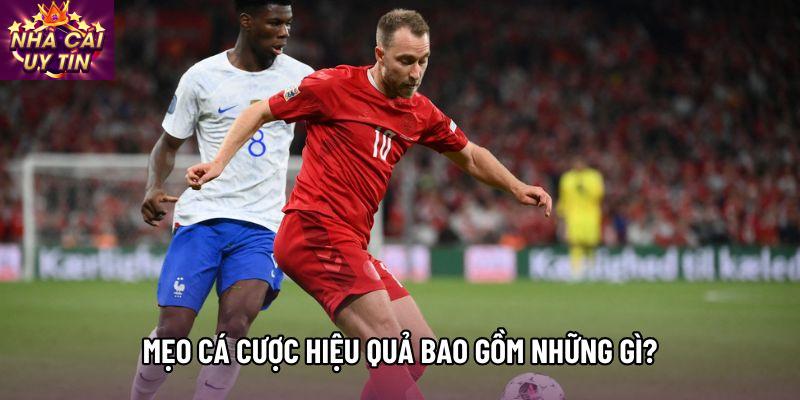 Mẹo cá cược hiệu quả bao gồm những gì?