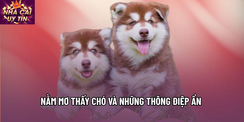 Nằm mơ thấy chó và những thông điệp ẩn Nằm mơ thấy chó và những thông điệp ẩn