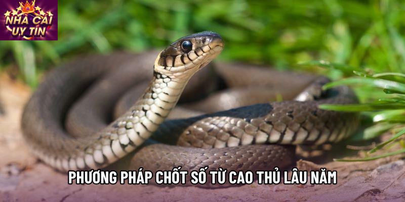 Phương pháp chốt số từ cao thủ lâu năm